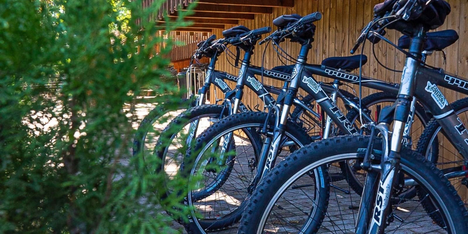 Bike Rentals and Riverside Routes